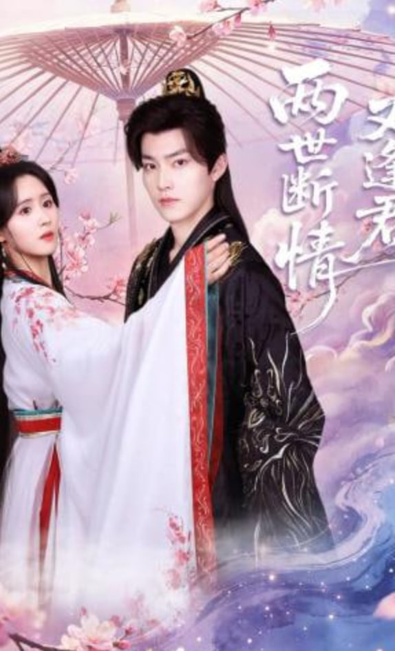 两世断情又逢君——桃子公